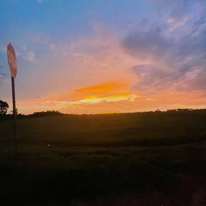 Meet your Posher,.brooklynn